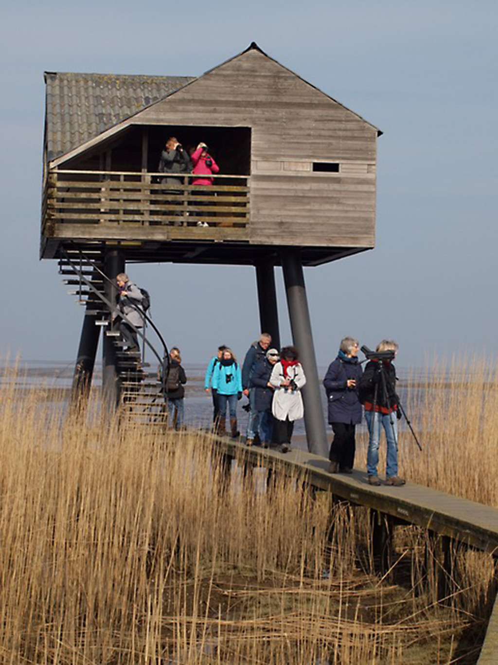 vogels,excursie,vogelexcursie,Nieuwe Statenzijl,Willy Sjaarda