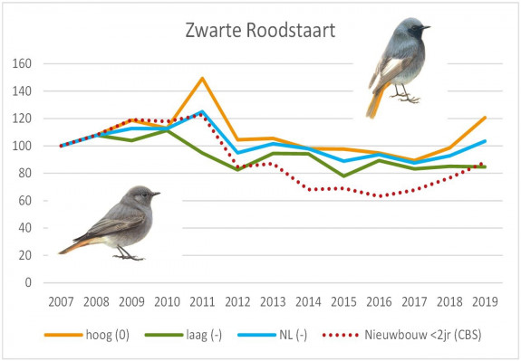zwarte roodstaart,urbane soort,MUS,aantalsontwikkeling,hoog,droog,laag,nat,huizenbouw