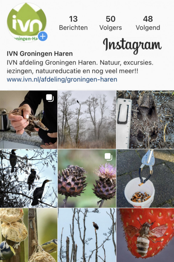 Instragram,IVN Groningen Haren,natuur digitaal