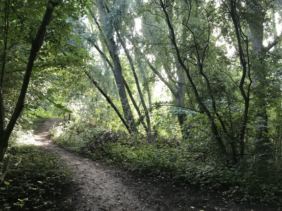 beijum,buurtgroen,hoogteverschil,Jan Faber