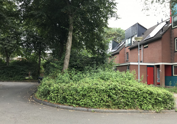 beijum,buurtgroen,groen boetseren 1,Jan Faber