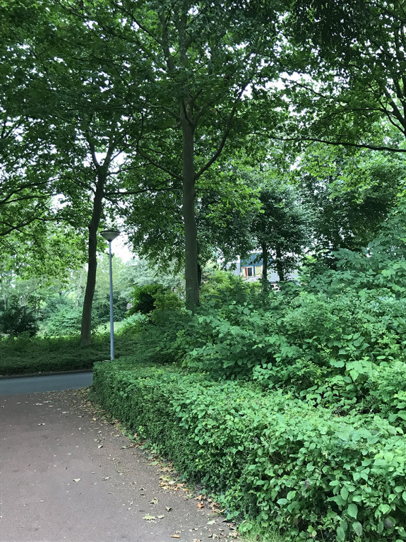 beijum,buurtgroen,groen boetseren 4,Jan Faber