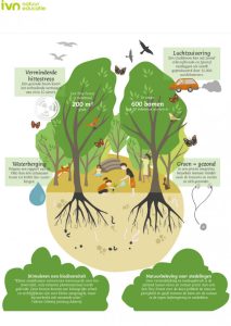 ivn infographic tiny forest