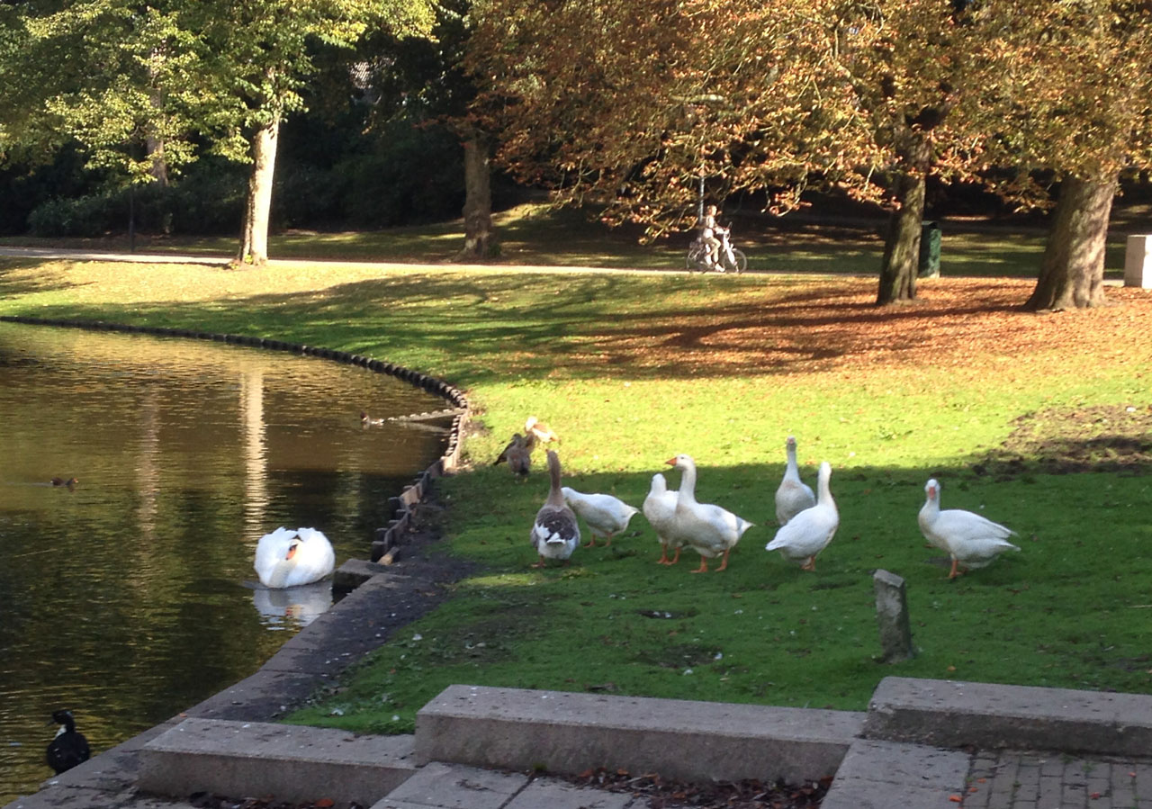 Excursies Noorderplantsoen