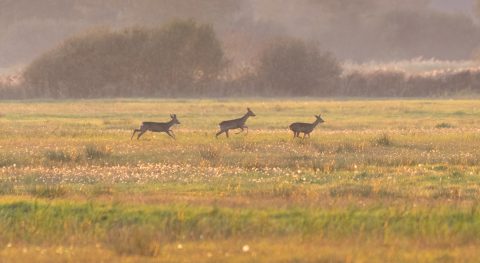 Natuur en meer!