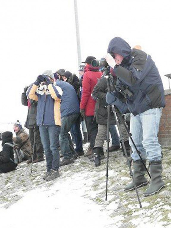 winter excursie vogel