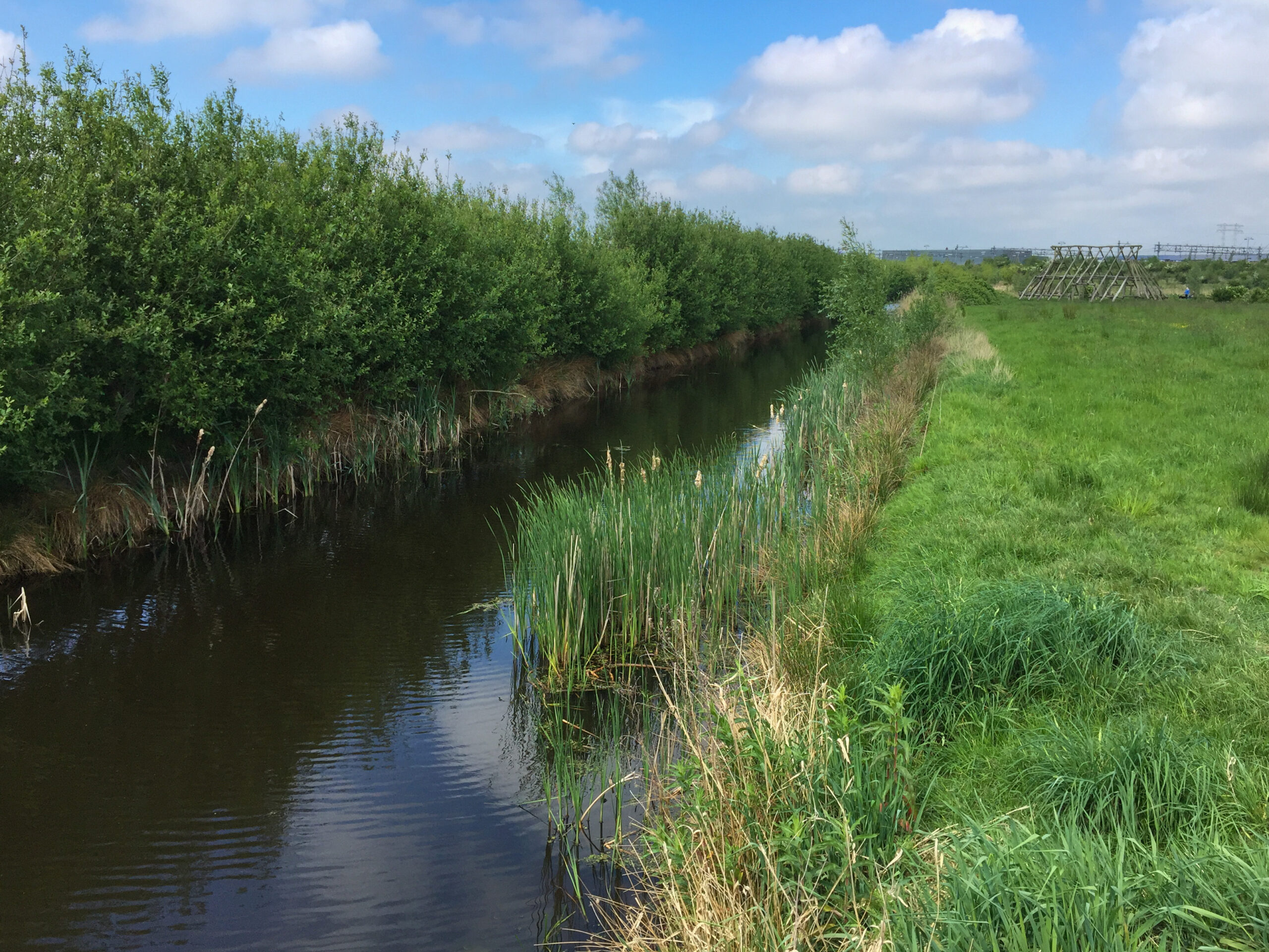 Sloot met riet en grasveld onder blauwe lucht met wolken. In de verte houten structuren.