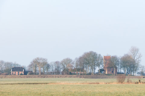 Kerk en huizen tussen bomen op een mistige dag met een weids grasland.