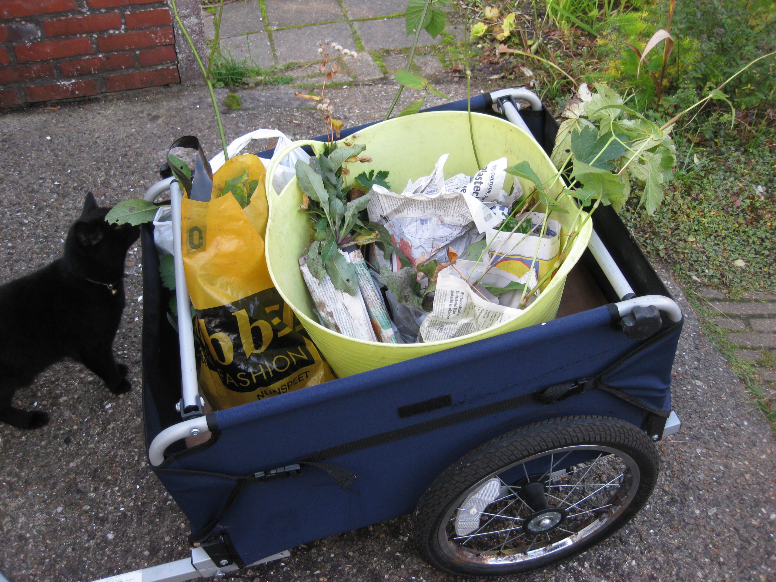 Een zwarte kat snuffelt aan een kar met tuinplanten en een gele emmer.