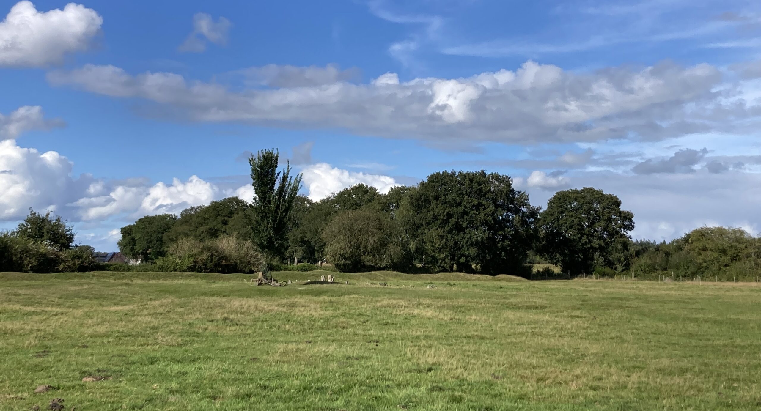 Groen veld met bomen en een blauwe, bewolkte hemel op de achtergrond.