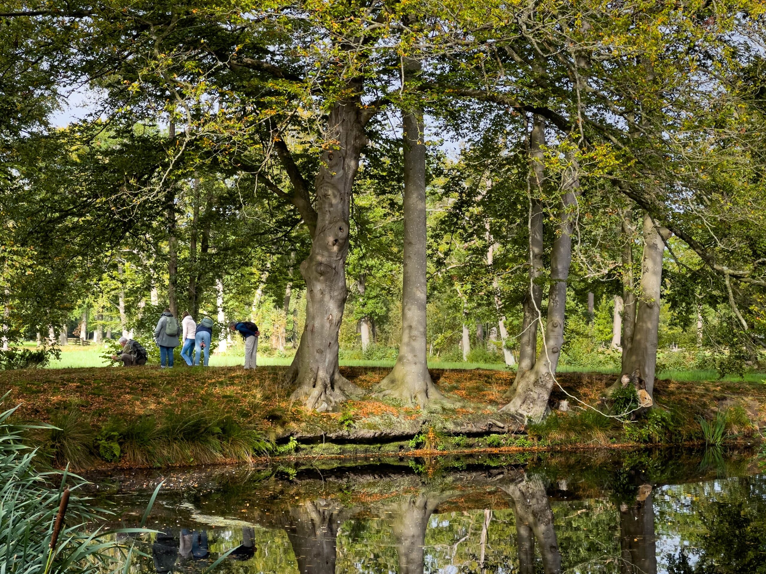 Bosrijk park met mensen en bomen, weerspiegeld in een vijver.