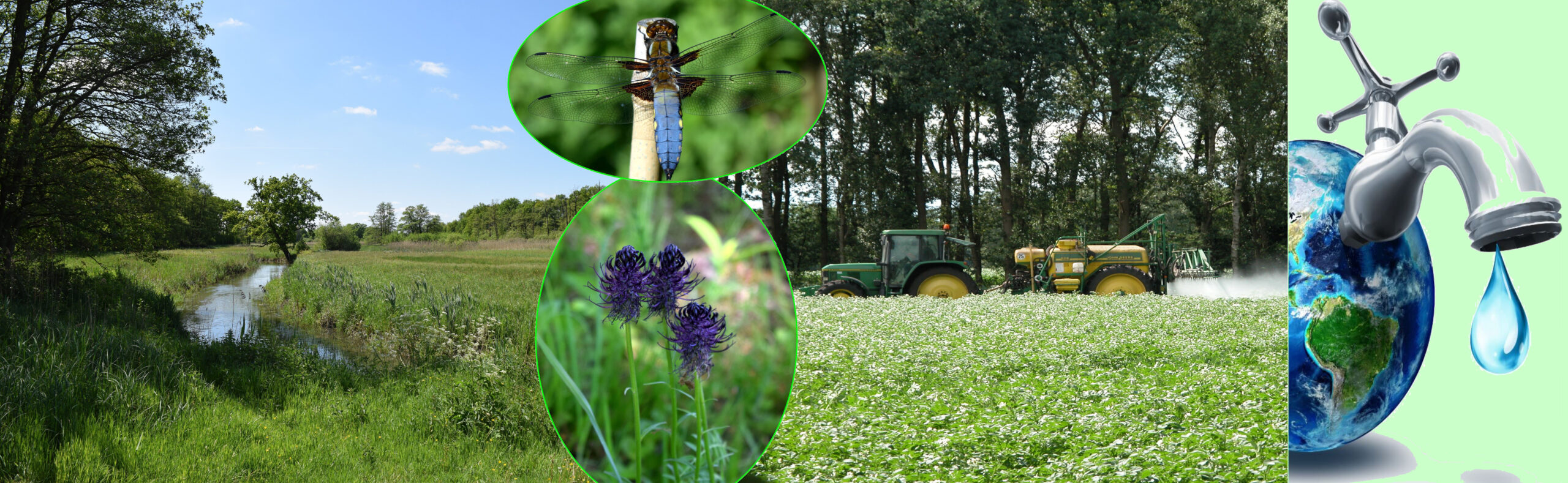 Landschap met weiland, tractor, een libel, bloemen, en een wereldbol met kraan en waterdruppel.