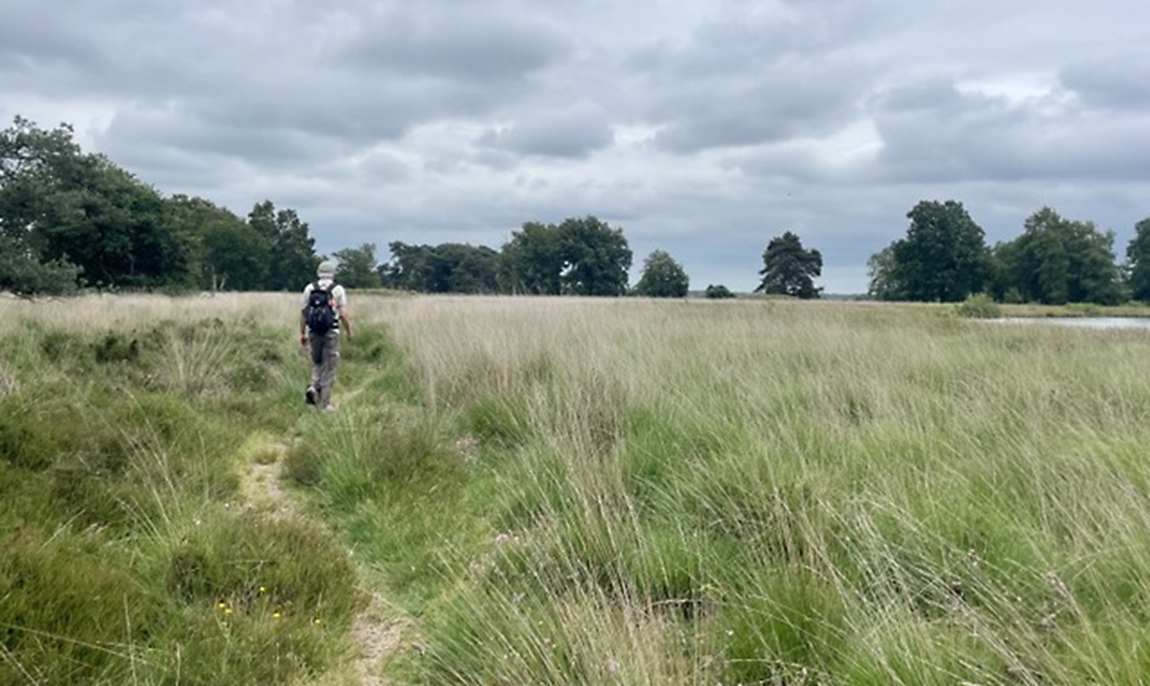 Persoon wandelt over een grasachtig pad in een open veld met bomen aan de horizon onder een bewolkte hemel.