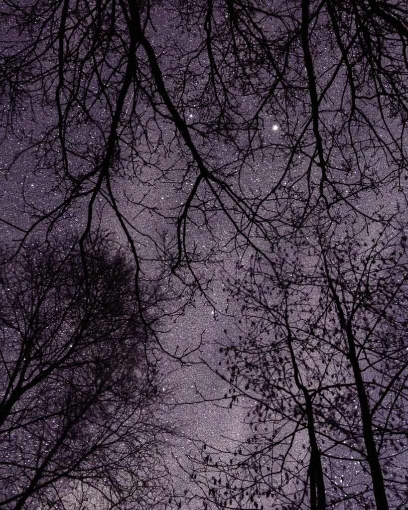 Dark Sky Park Lauwersmeer