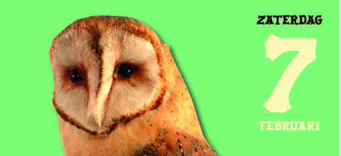 Uil op een groene achtergrond met tekst: "Zaterdag 7 februari".