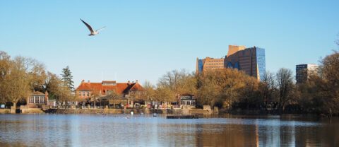 Vlucht van een meeuw over een meer met een gebouw en bomen op de achtergrond.
