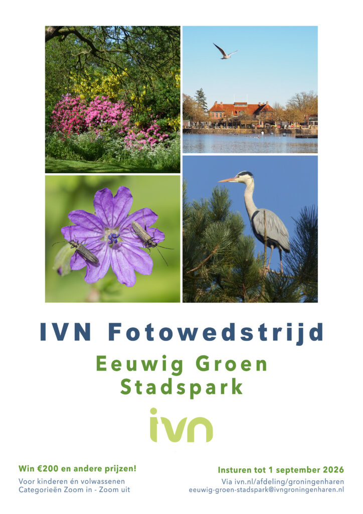 Collage van natuurfoto's en tekst over IVN Fotowedstrijd Eeuwig Groen Stadspark.