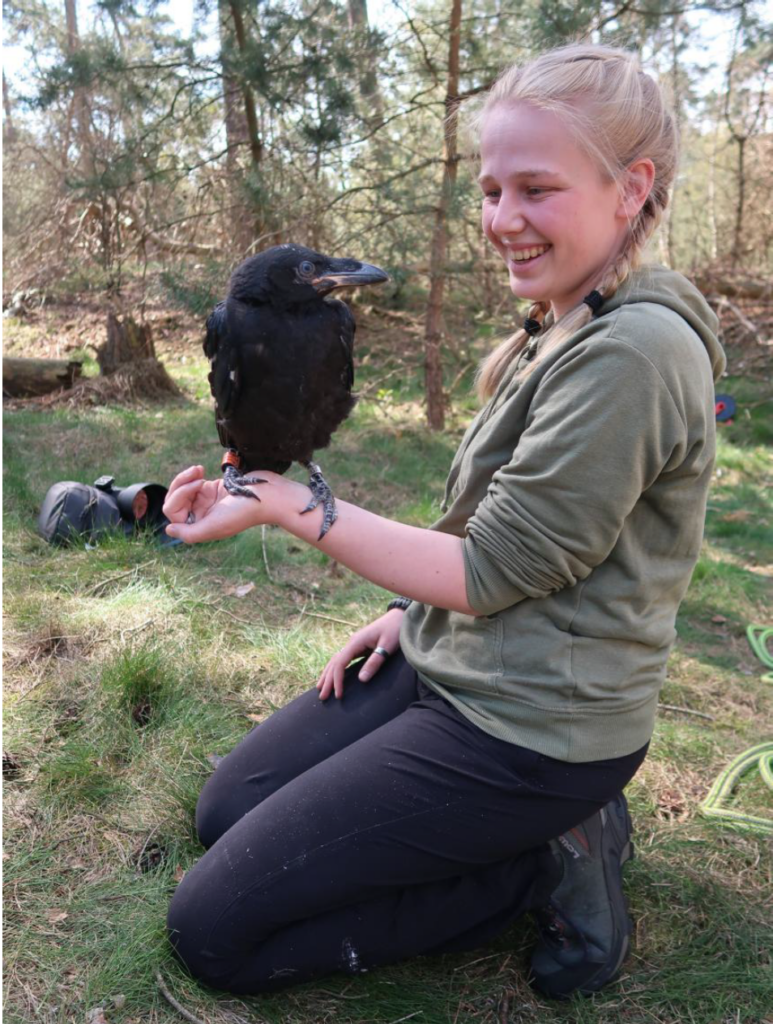 Een vrouw in een bos houdt een raaf op haar hand en lacht.