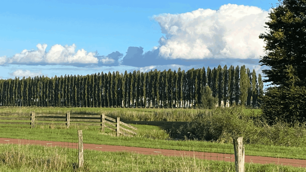 Kardinge populierenlaan fietspad