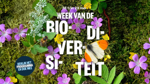 "Week van de Biodiversiteit; kleurrijke bloemen, bij, vlinder en bladeren, 18 t/m 23 mei."