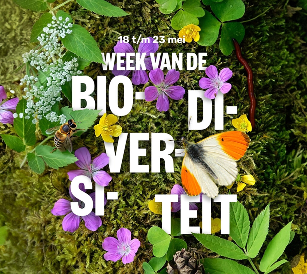 Bloemen, insecten en een vlinder op mos met tekst "Week van de biodiversiteit, 18 t/m 23 mei".