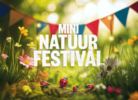 Kleurrijke bloemen en lieveheersbeestjes onder vlaggen, met de tekst "Mini Natuur Festival".
