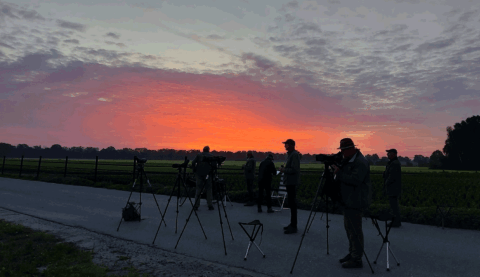 Vogeltrek tellen in de Onlanden, Eelderdiepje, Zanddijk