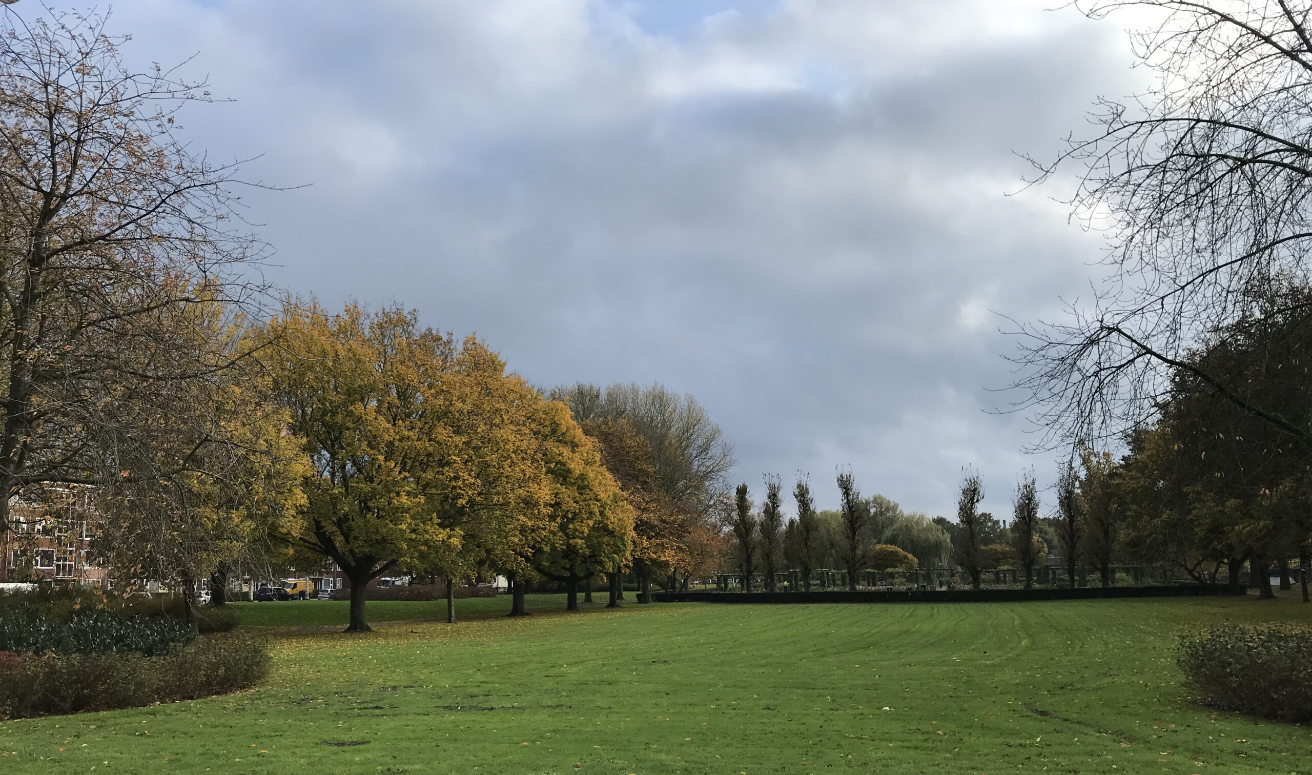 Herfstlandschap met bomen, groene grasvelden en bewolkte lucht.