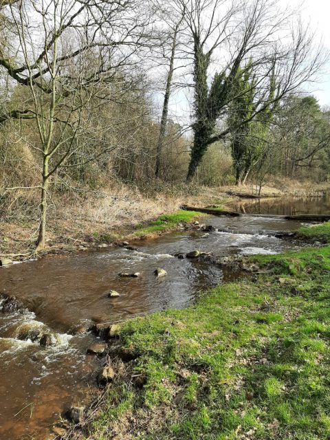 Verslag “Rondom de Hagmolenbeek”, lezing en wandeling