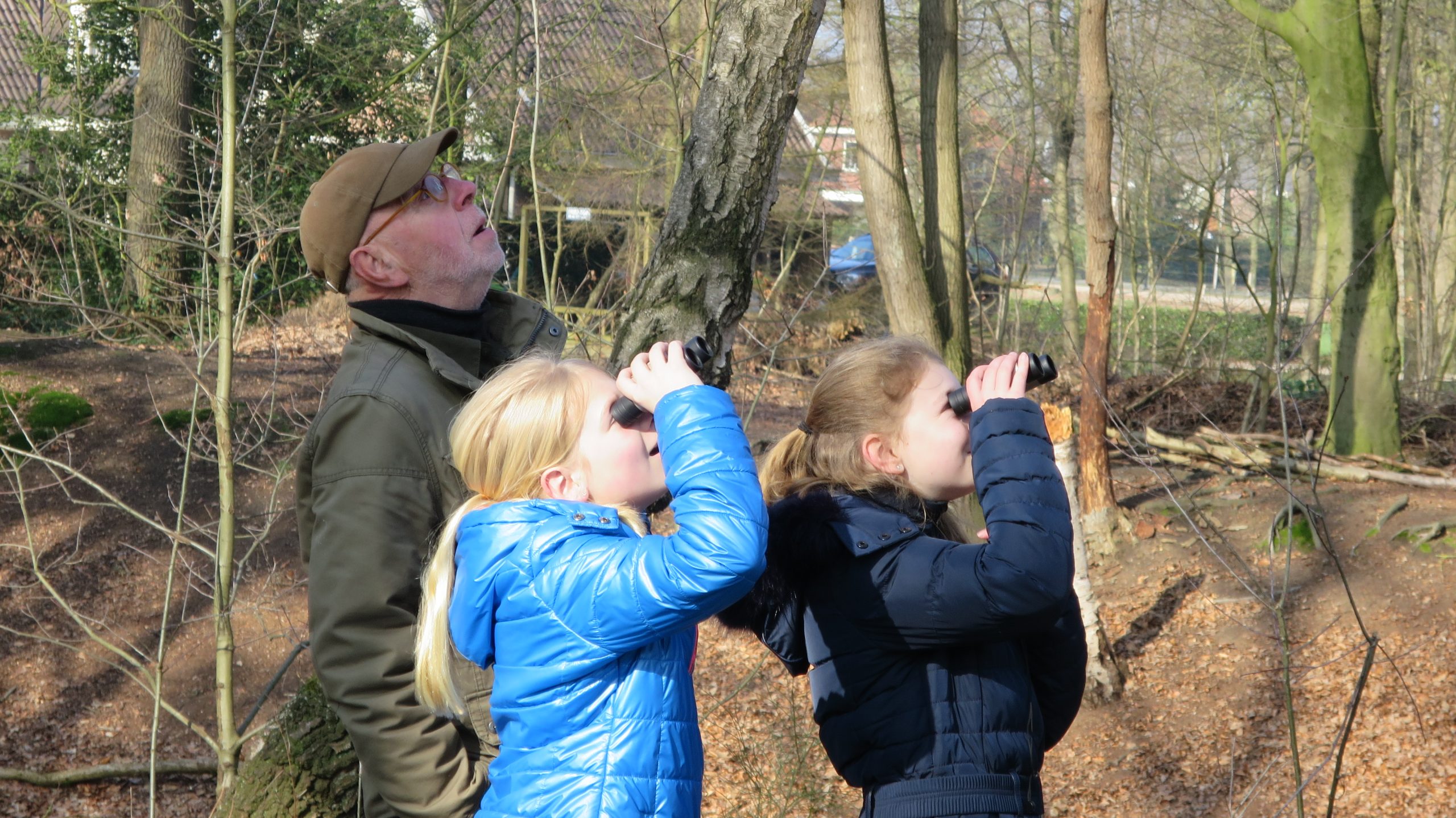Vogels spotten in het Grintenbosch