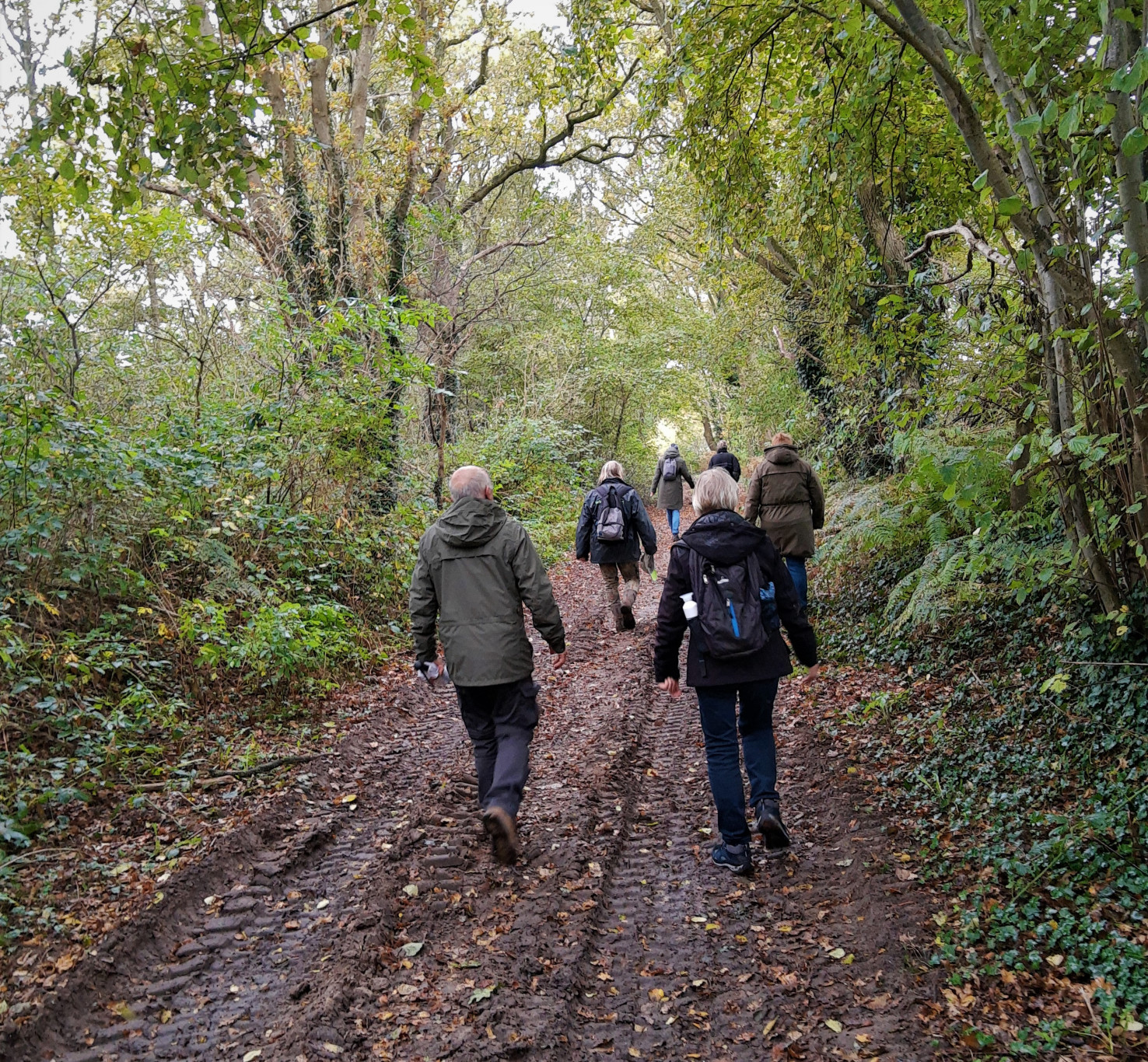 Verslag excursie voor IVN leden naar Stelkampsveld te Borculo