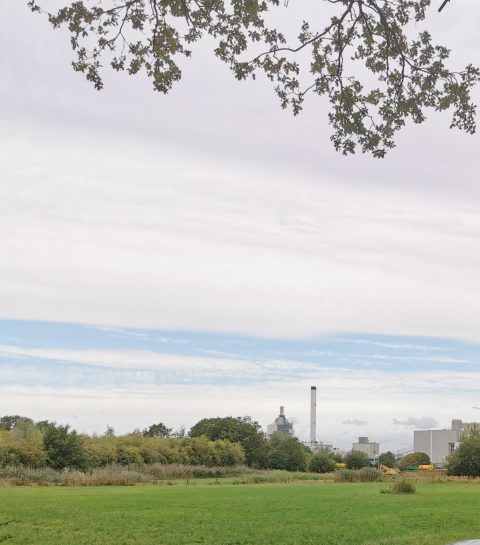Wandeling Natuur en Industrie