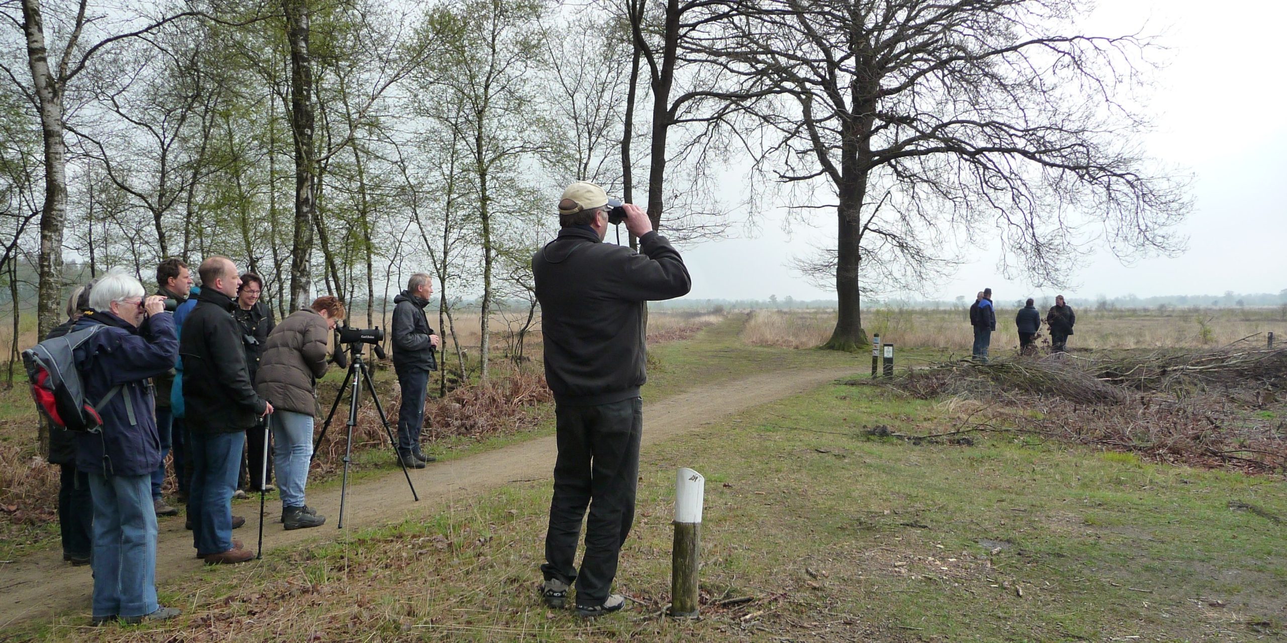 Vogelwandeling in het Haaksbergerveen