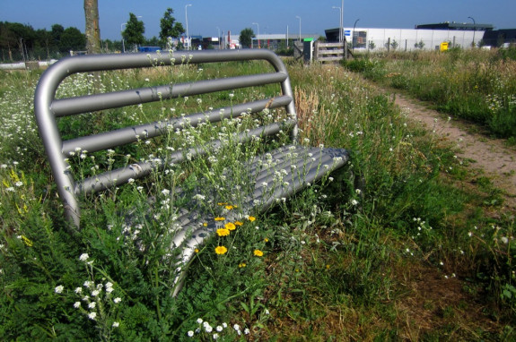 wilde bloemen 034 - kopie.JPG