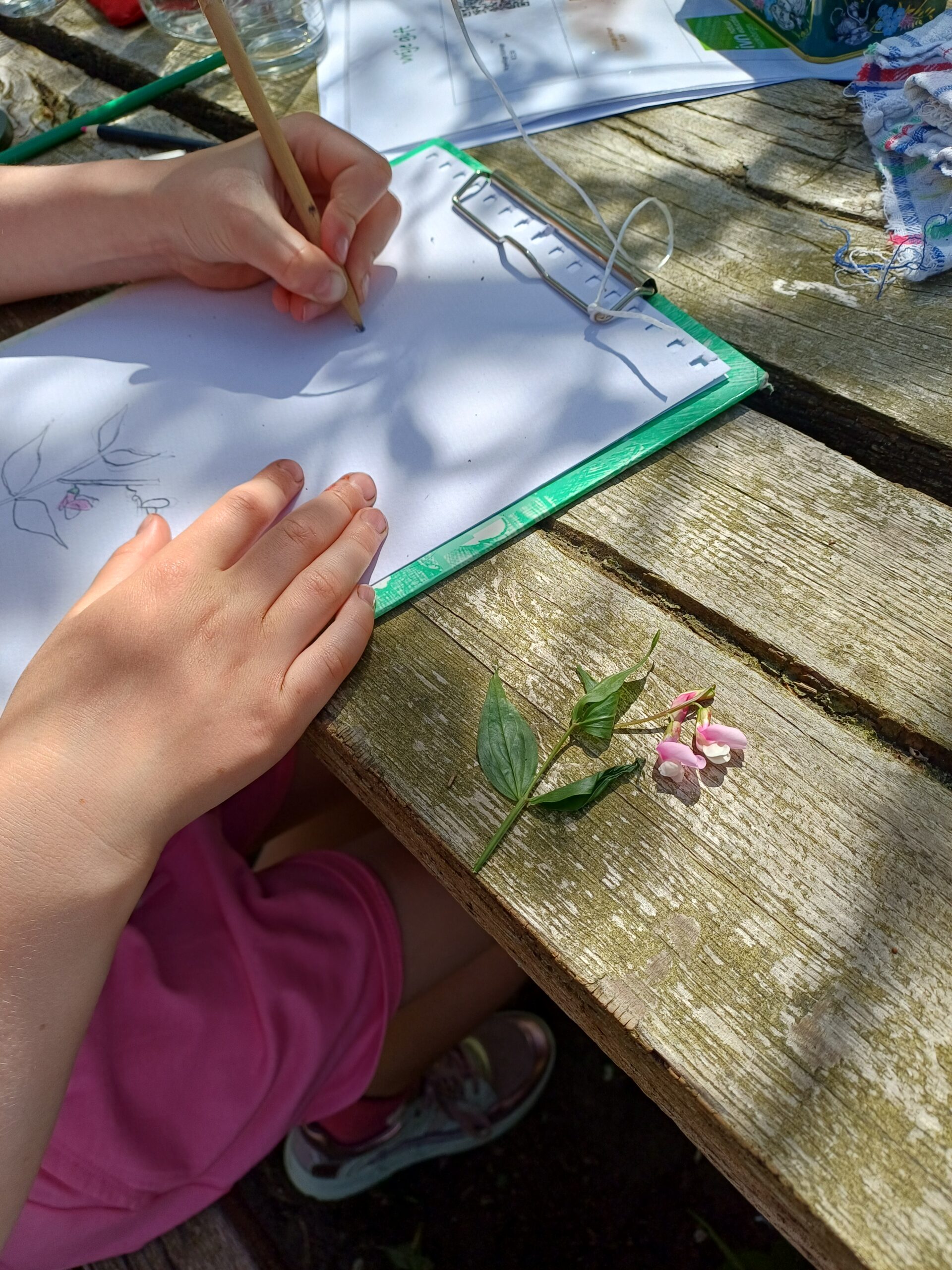 Een kind tekent bloemen in een schetsboek op een houten tafel in de zon.