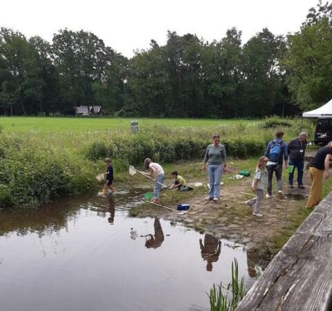 Mensen en kinderen vangen waterdiertjes met netten bij een klein beekje in een groen natuurgebied.